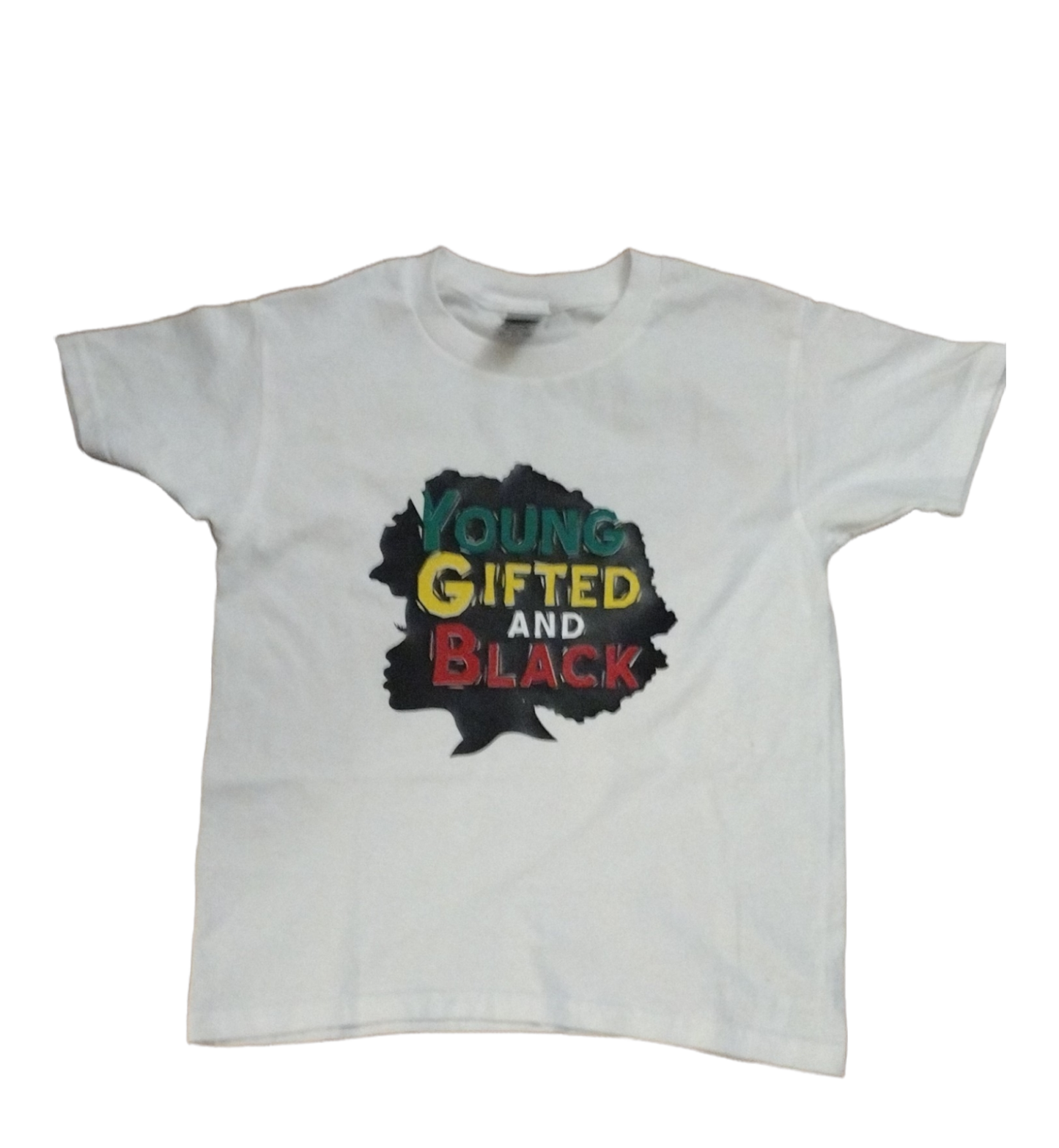 Young Gifted and Black Youth T-shirt