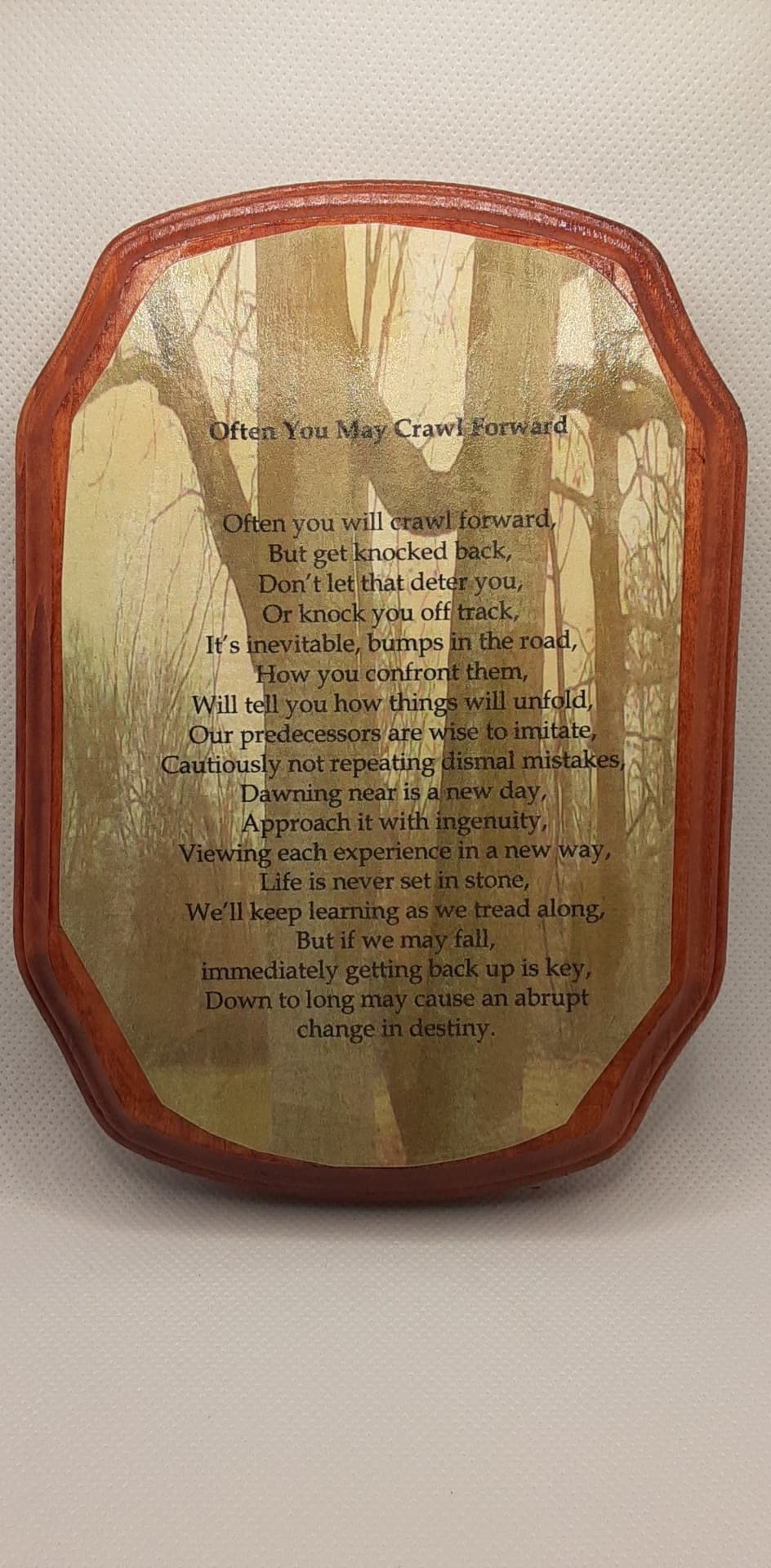 Often You May Crawl Forward Inspirational Plaque