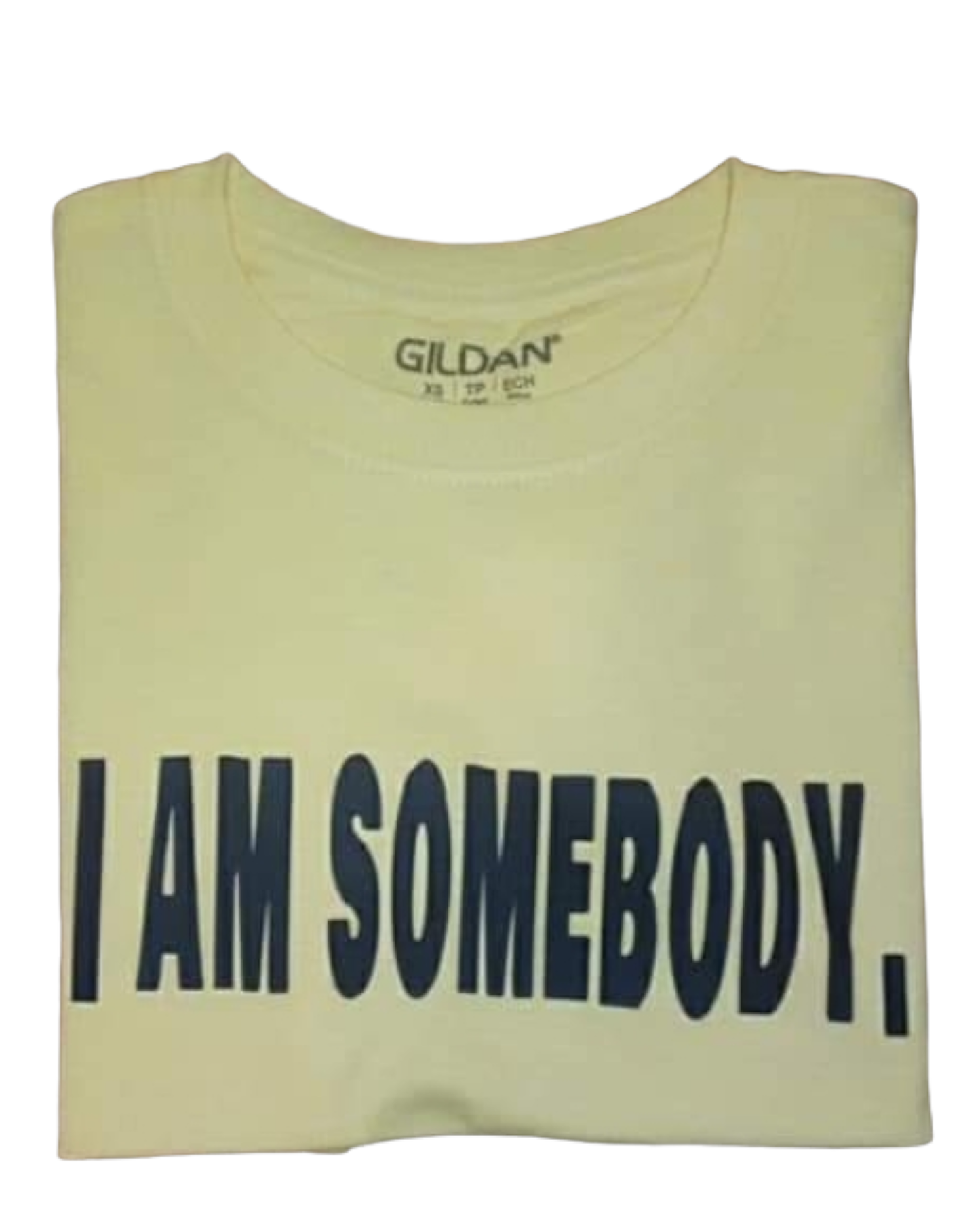 I Am Somebody Youth T-shirt